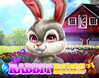 Rabbit Runs